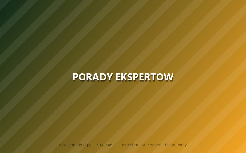 Ilustracja porad eksperckich dotyczących zakładów